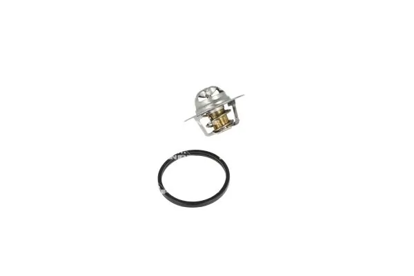 Termostat lichid racire