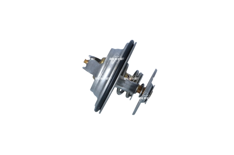 Termostat lichid racire