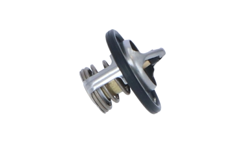 Termostat lichid racire