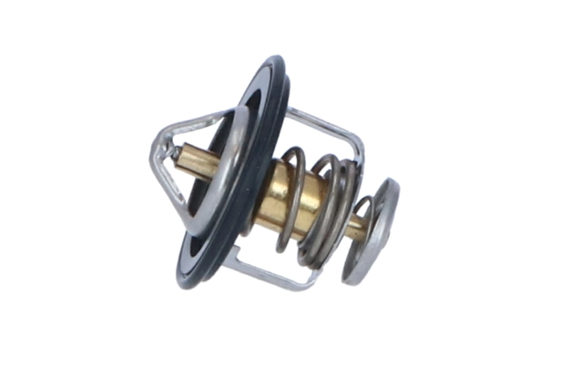 Termostat lichid racire
