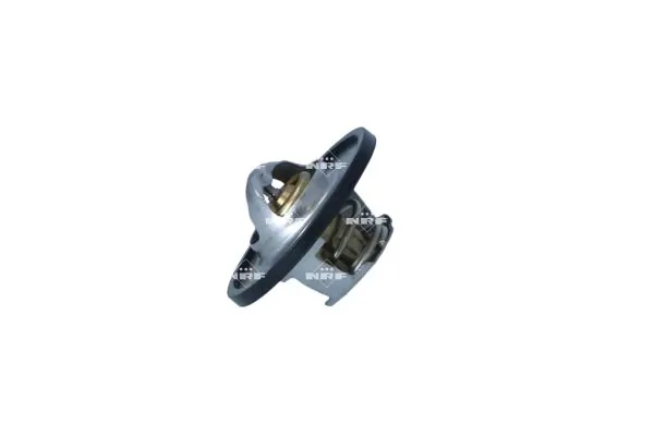 Termostat lichid racire
