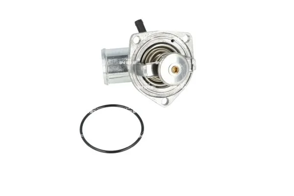 Termostat lichid racire