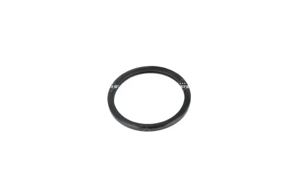 Termostat lichid racire