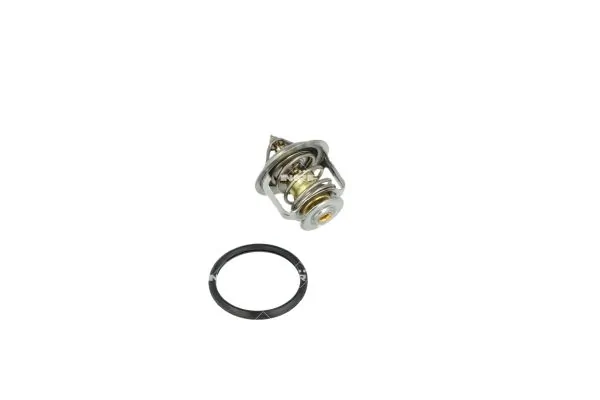 Termostat lichid racire
