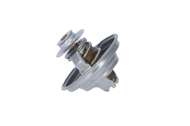 Termostat lichid racire