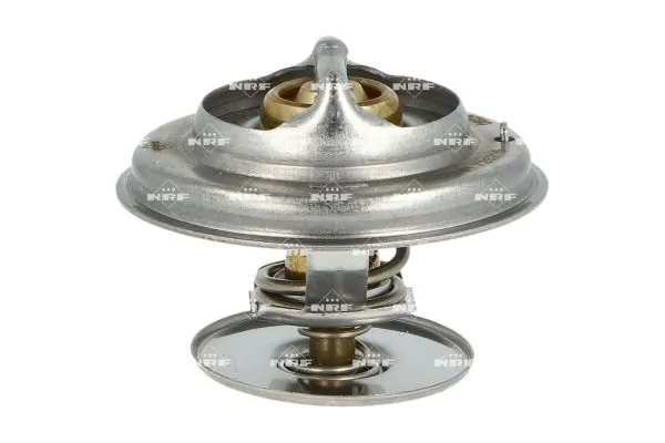 Termostat lichid racire