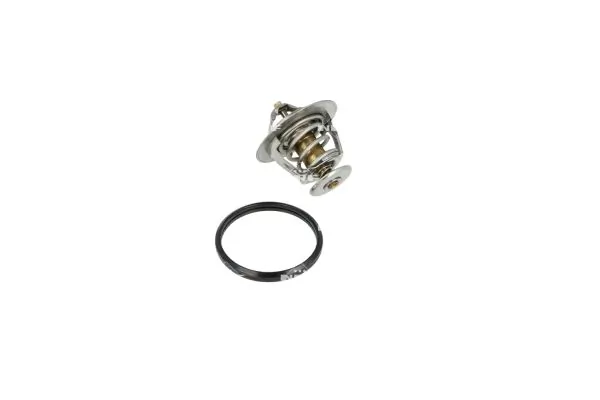 Termostat lichid racire
