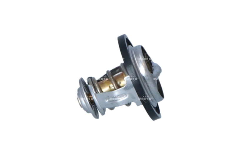 Termostat lichid racire