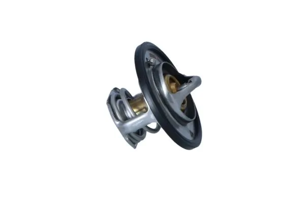 Termostat lichid racire