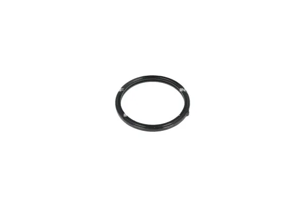 Termostat,lichid racire