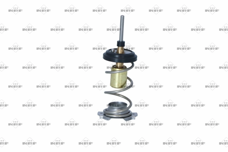 Termostat lichid racire