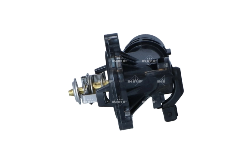 Termostat lichid racire