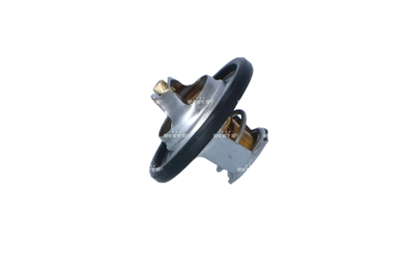 Termostat lichid racire