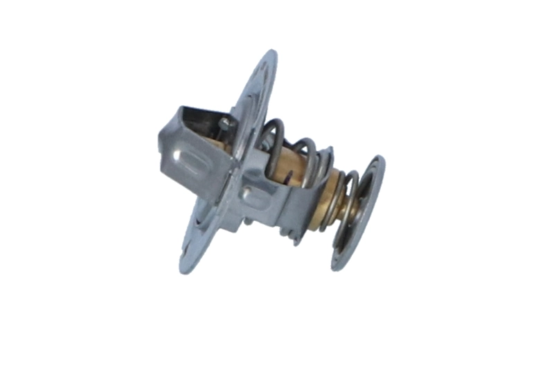 Termostat lichid racire