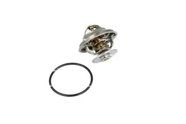 Termostat lichid racire