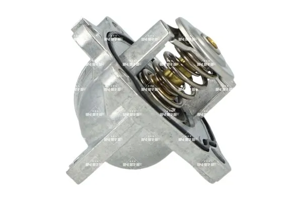 Termostat lichid racire