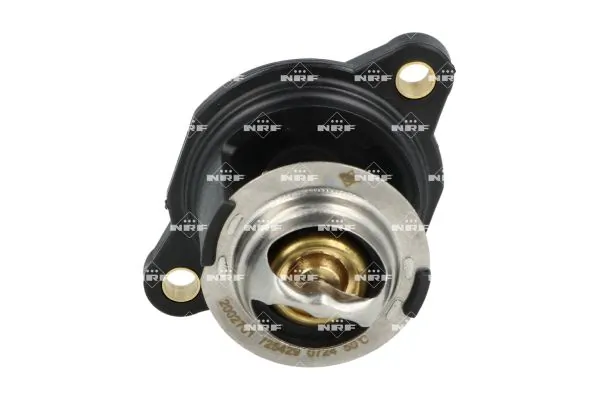 Termostat lichid racire
