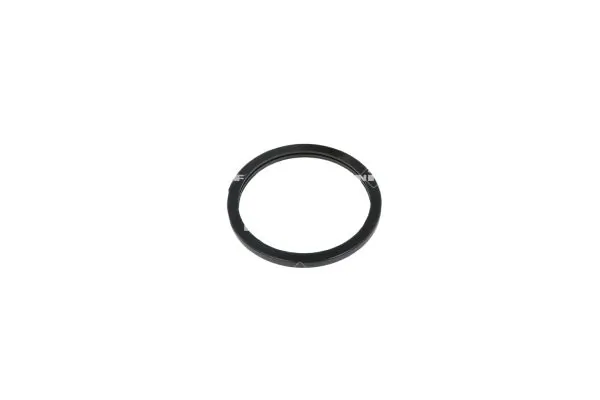 Termostat lichid racire