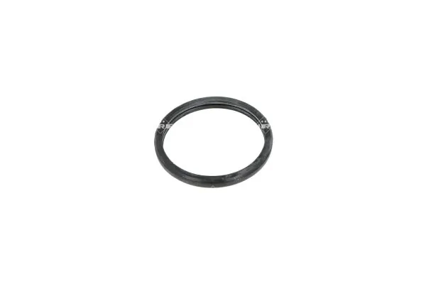 Termostat lichid racire