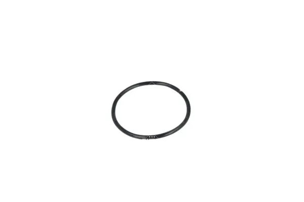 Termostat lichid racire