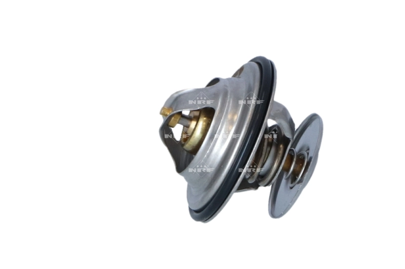Termostat lichid racire
