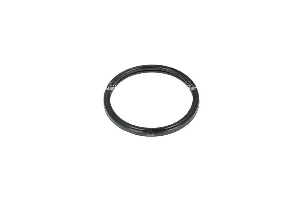 Termostat lichid racire