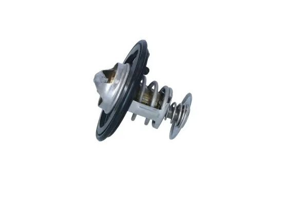 Termostat lichid racire