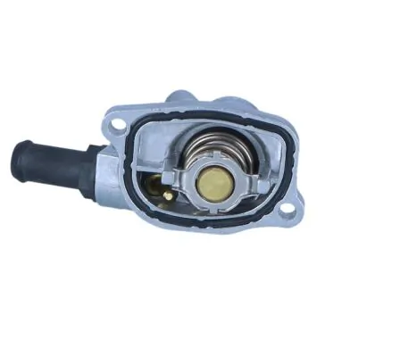 Termostat lichid racire