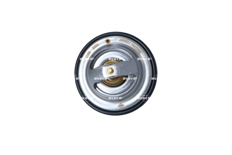 Termostat lichid racire