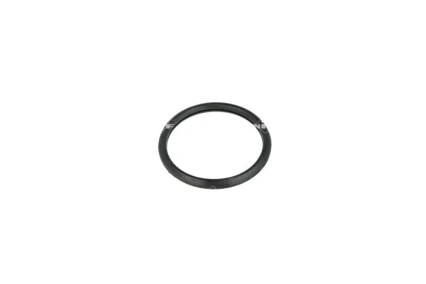 Termostat lichid racire