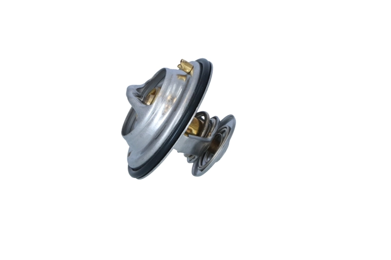 Termostat lichid racire
