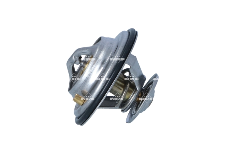 Termostat lichid racire