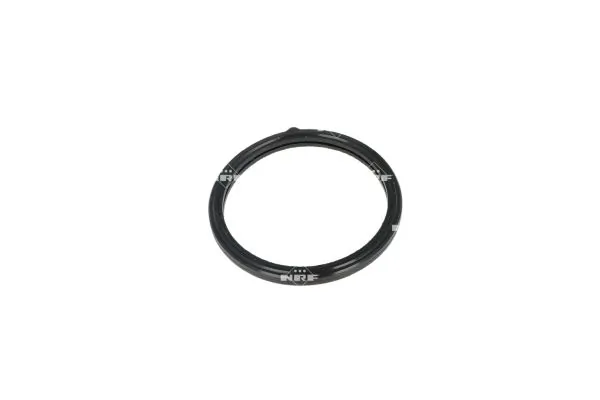 Termostat lichid racire