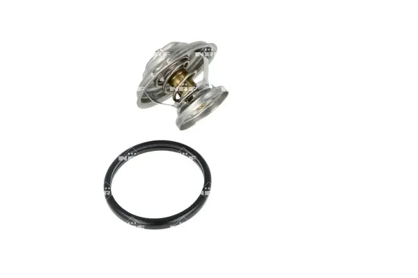 Termostat lichid racire
