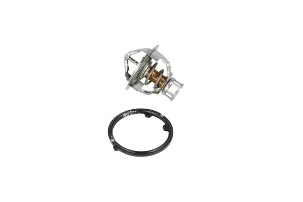 Termostat lichid racire