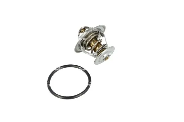 Termostat lichid racire