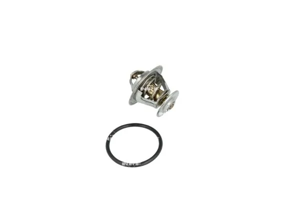 Termostat lichid racire