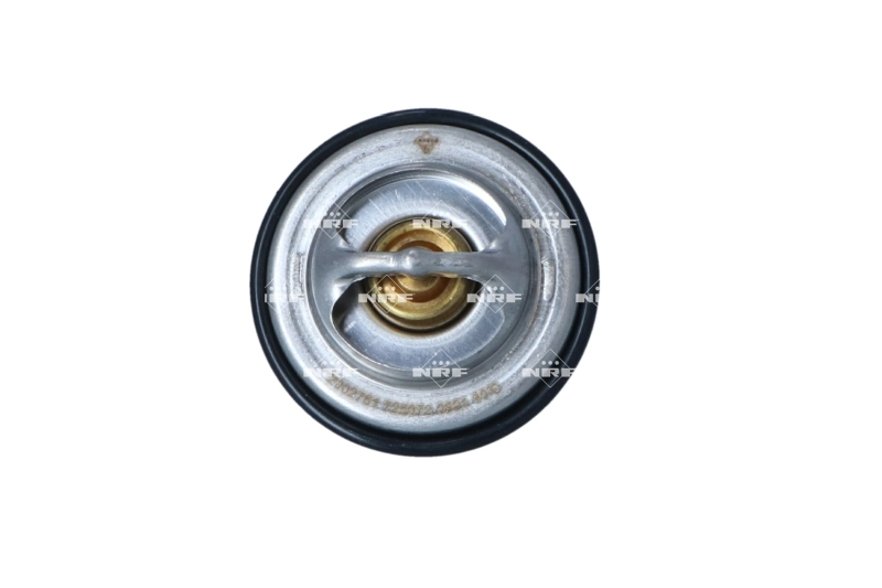 Termostat lichid racire