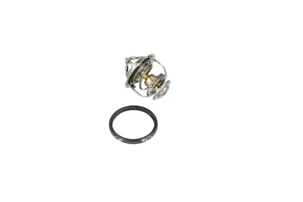 Termostat lichid racire