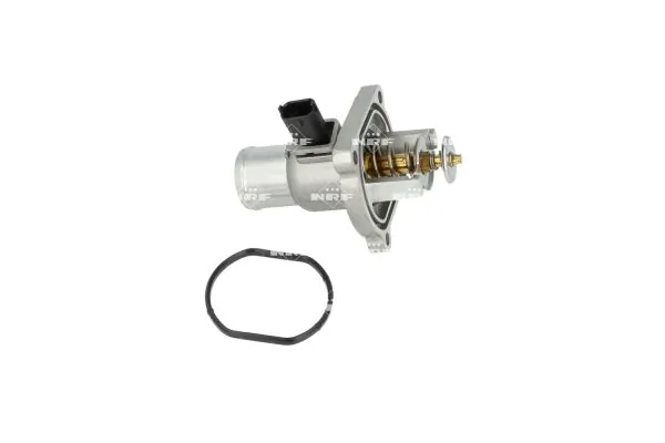Termostat lichid racire