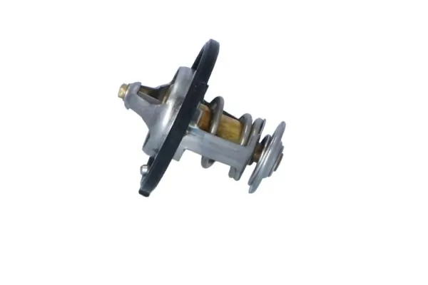 Termostat lichid racire