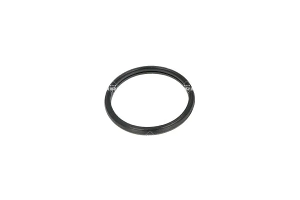 Termostat lichid racire