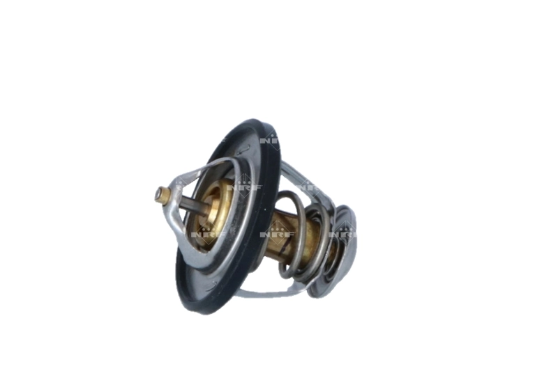 Termostat lichid racire