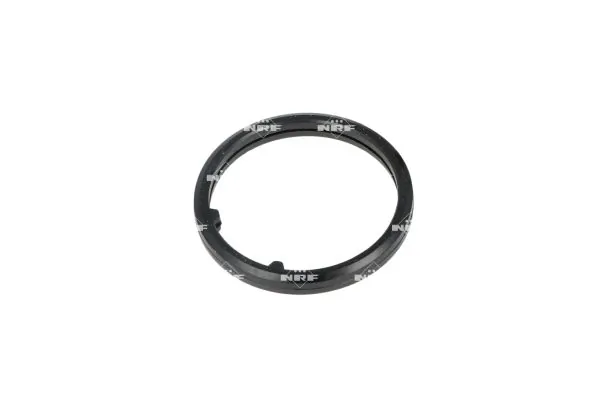 Termostat lichid racire
