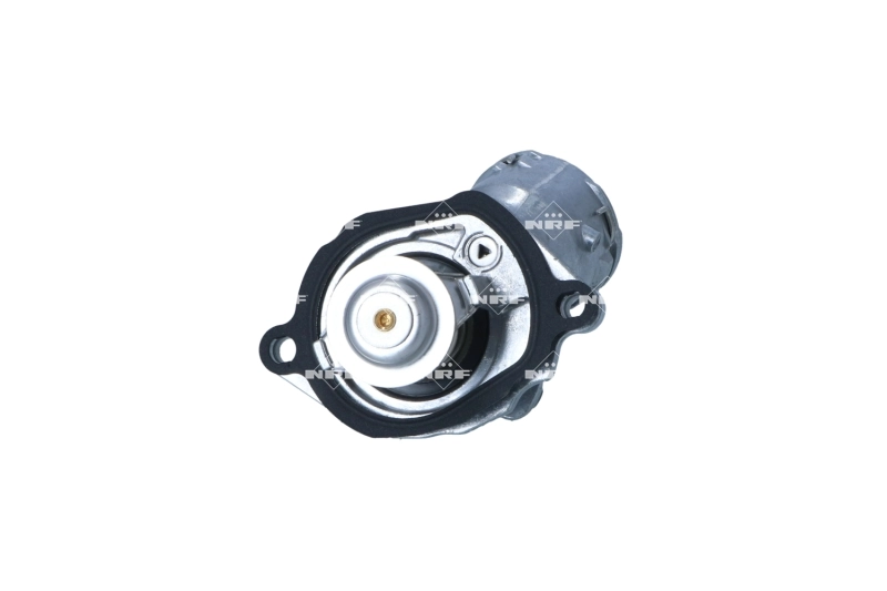 Termostat lichid racire