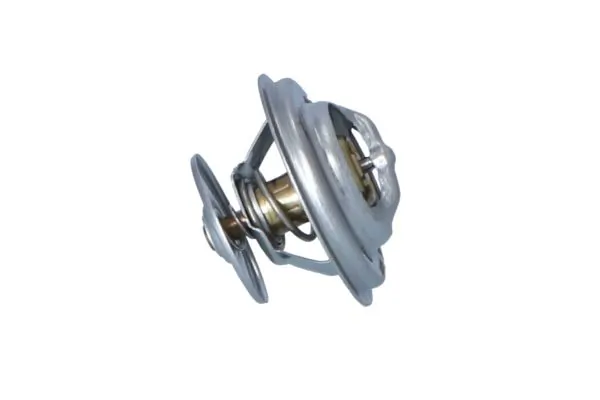 Termostat lichid racire