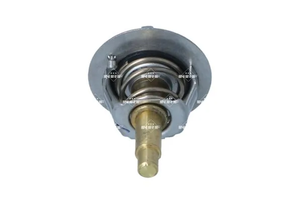 Termostat lichid racire