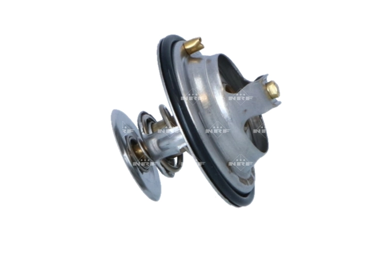 Termostat lichid racire
