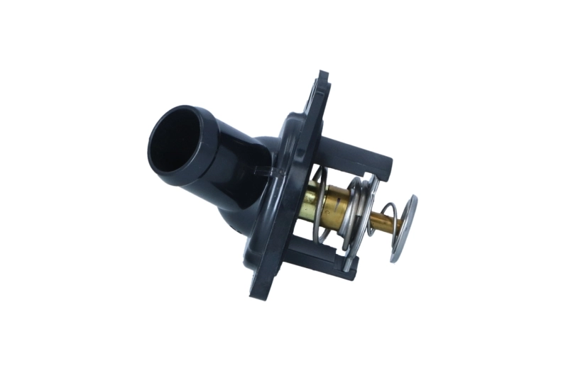 Termostat lichid racire
