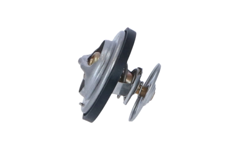 Termostat lichid racire